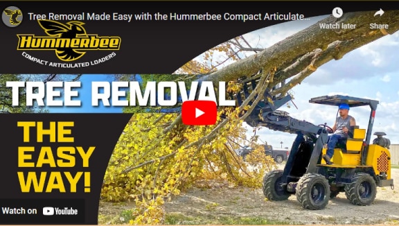 Tree Removal