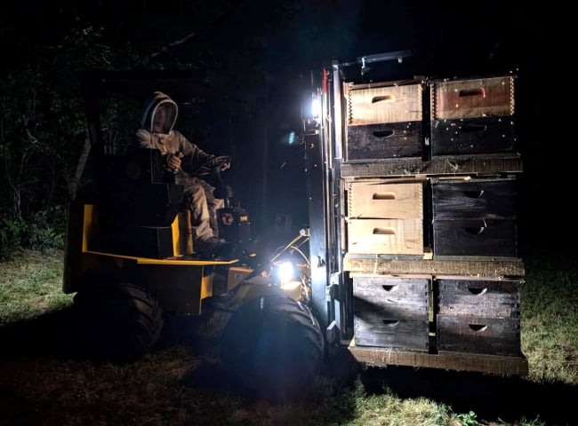 Hummerbee Apiary Forklift in action at night