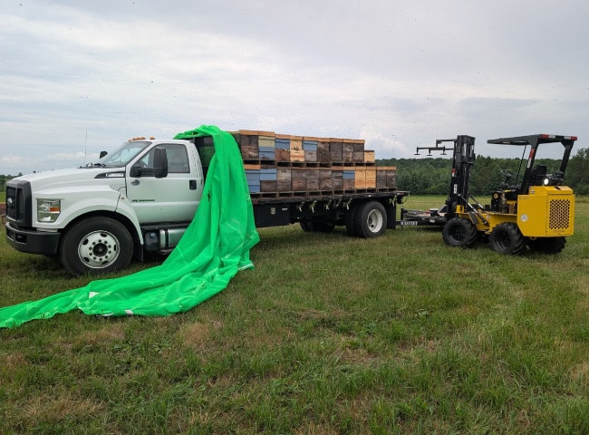 Hummerbee unloading hive boxes at the apiary